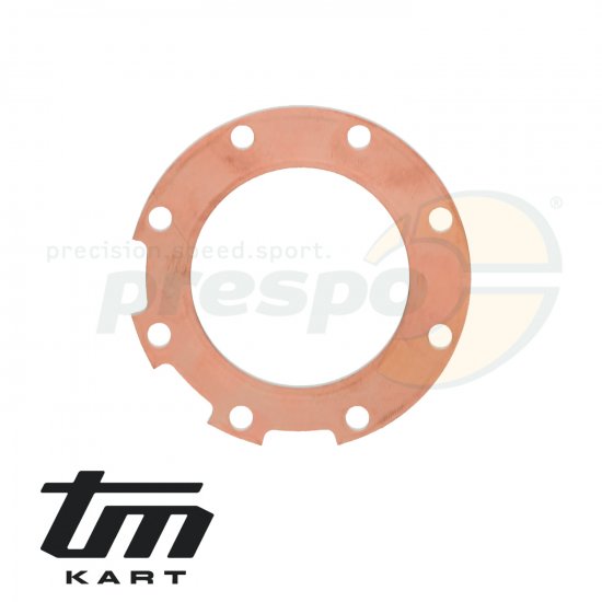 Bild 1 - Bild 09 Dichtung Zylinderkopf  TM KZ-R2 - 0.03 mm