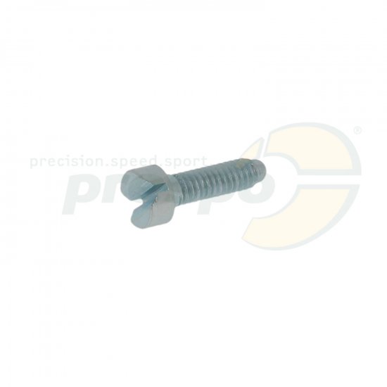Bild 1 - Nr. 57 Schraube fr Gasanschlag - Vergaser Tillotson HW-27A - IAME X30