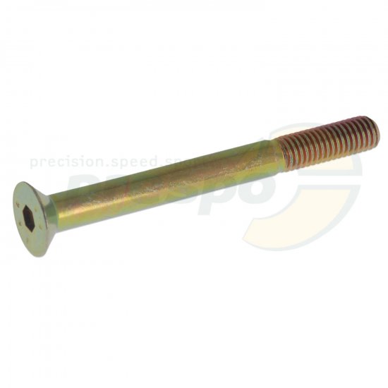 Bild 1 - SK-Schraube  gold  Innensechskant  M 8 x 80 mm