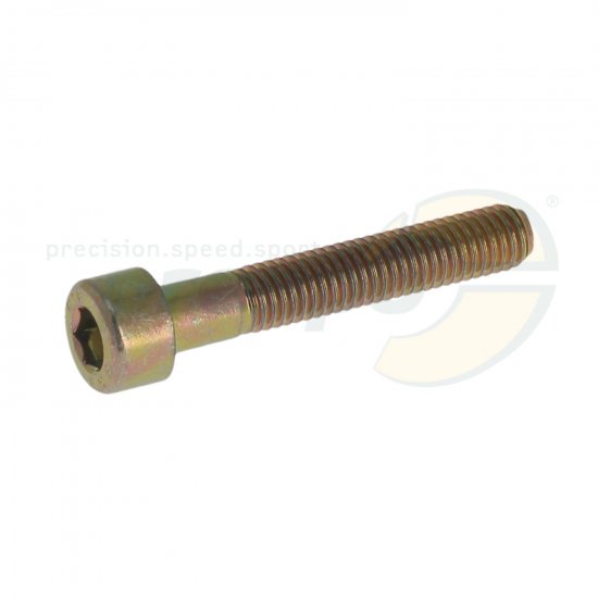 Bild 1 - ZK-Schraube gold  Innensechskant  M 5 x 30 mm  Stahl 8.8