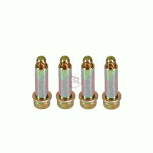 Schraube mit Schaft fr Bremsbelag  (M6 x 30mm)  KIT