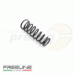 Bild 06 Feder fr Hauptbremszylinder  FREE-LINE   Modell: 22SRR 