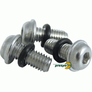 Sicherungsschraube Felge M 5  Douglas Type