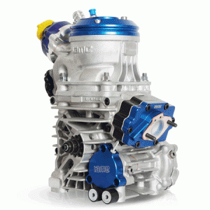 Motor IAME REEDSTER V  Klasse: OK