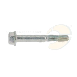 Schraube mit Bund fr Lagerschale CRG  M8x60mm