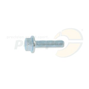 Schraube mit Bund fr Lagerschale CRG  M8x30mm