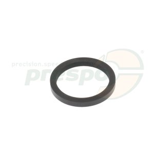Bild 08 Dichtring