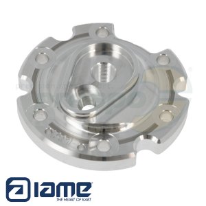 Brennraumeinsatz IAME REEDSTER V   Version: OK-N