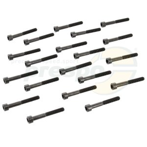 Nr. 62 Schraube M6 x 45 mm 20 Pack - Kurbelgehuse IAME X30 Super
