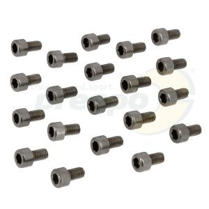 Nr. 04 Schraube TCCE M6 x 10 mm 20 Pack - Zylinder IAME REEDSTER V