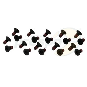 Nr. 64 Schraube M5 x10 mm TORX 20 Pack - Kurbelgehuse IAME Screamer III