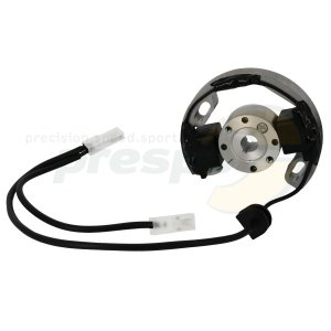 Nr. 276A Zndung Selettra (Rotor + Stator) - IAME Water Swift