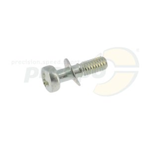 Nr. 11 Schraube Schwimmerkammer DellOrto PHBG 18 BS - IAME Water Swift
