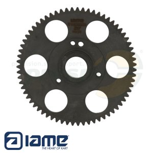 Nr. 125 Starter Zahnrad IAME S125