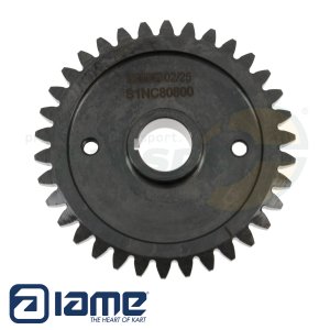 Nr. 48 Ausgleichsrad fr Ausgleichswelle - IAME S125