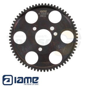 Nr. 110 Starter Zahnrad 66 Zhne - Kupplung IAME Leopard