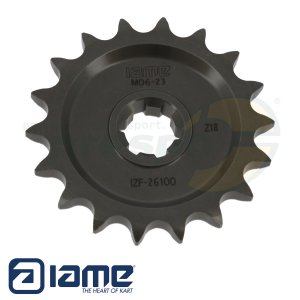 Ritzel IAME KZ  Typ: 428    Z 18   (Original)