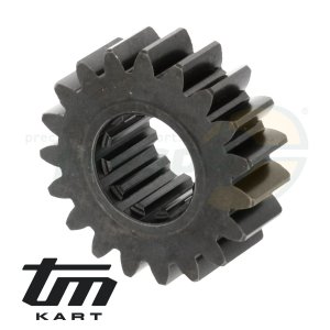 Bild 31 Primrzahnrad Kurbelwelle TM KZ10