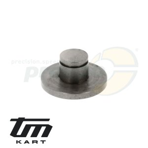 Bild 07 Druckpilz TM KZ10