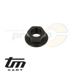 Bild 20 Flanschmutter Stehbolzen Zylinder TM KZ R2  schwarz