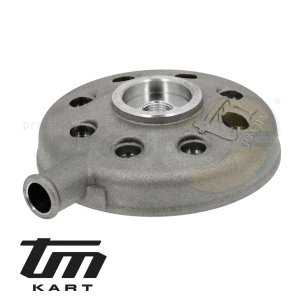 Bild 04 Zylinderkopf TM KZ10B komplett 