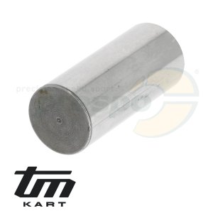 Bild 04 Hubzapfen 22mm  TM KZ10B - ohne Bohrung