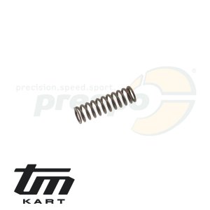 Bild 19 Feder fr Schaltratsche TM  KZ R1