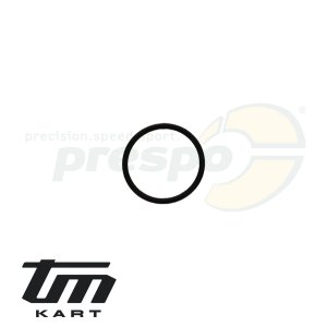 Bild 40 O-Ring Ritzelwelle TM KZ10