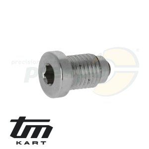Bild 13 Ablaschraube Getriebel (magnetisch) TM KZ10B