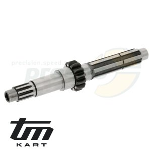 Bild 04 Primrwelle TM KZ10C