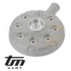 Bild 04 Zylinderkopf TM KZ10C - komplett