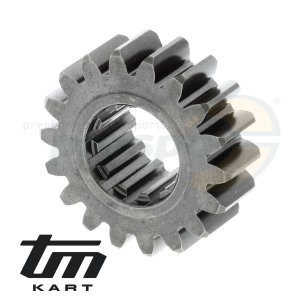 Bild 02 Primrzahnrad Kurbelwelle TM KZ R2