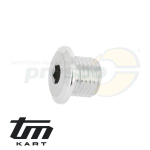 Bild 38 Entlftungsschraube Getriebel TM KZ R1
