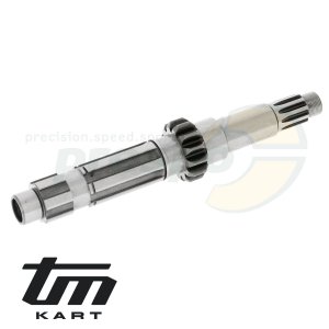Bild 01 Primrwelle TM KZ-R1