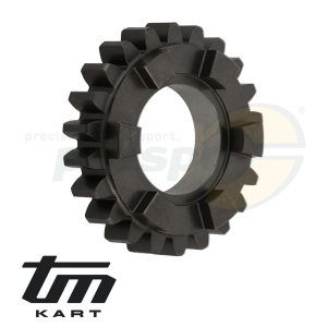 Bild 05 Gangrad Primrwelle 5.Gang - TM KZ R1