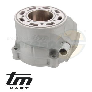 Bild 12 Zylinder TM KZ R2 - PREPARATO