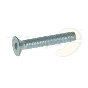SK-Schraube  Innensechskant  M 5 x 30 mm