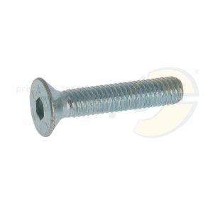 SK-Schraube  Innensechskant  M 6 x 30 mm