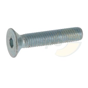 SK-Schraube  Innensechskant  M 8 x 40 mm