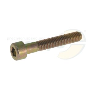 ZK-Schraube gold  Innensechskant  M 5 x 30 mm  Stahl 8.8