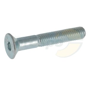 SK-Schraube  Innensechskant  M 8 x 50 mm