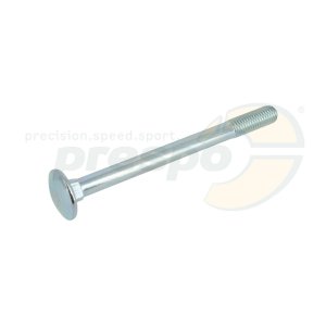 Stostangenschraube M10 x 120mm